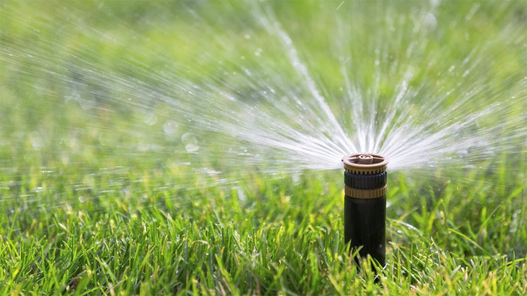 Sprinkler head spraying on green grass, Cape Fear coast NC